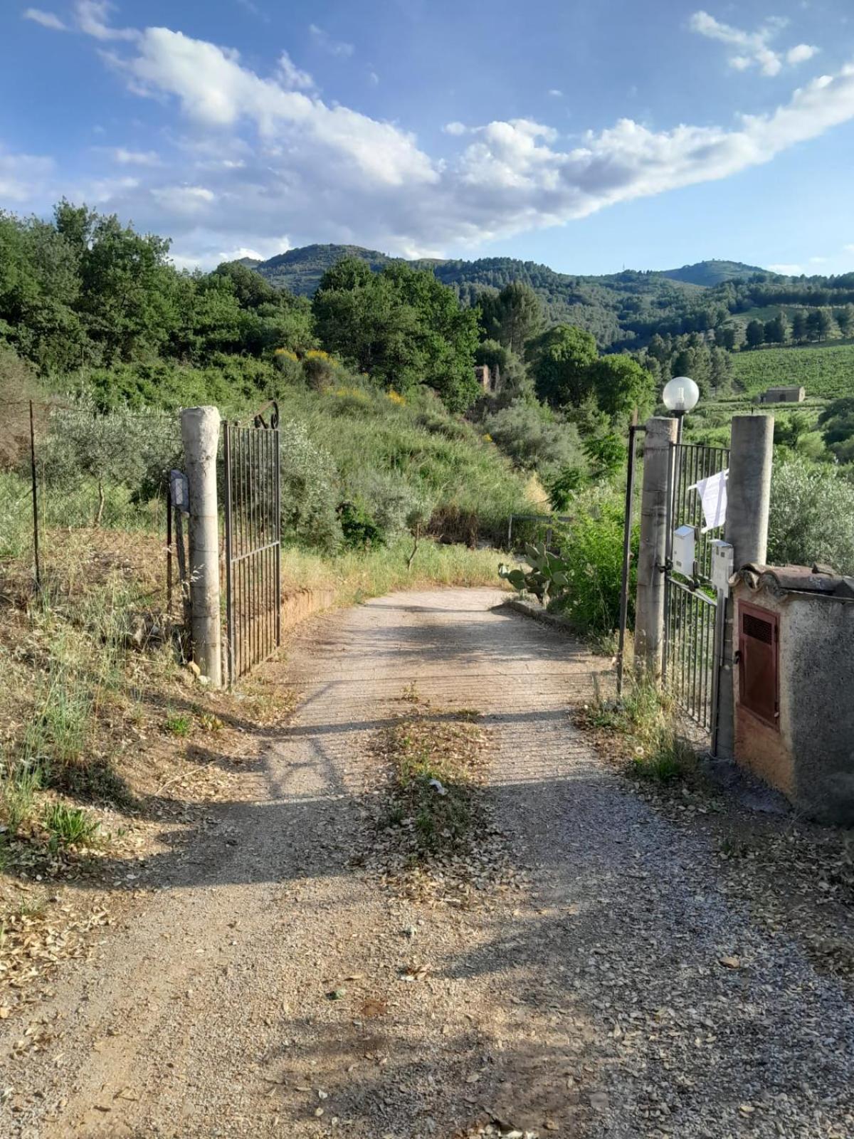 Casa Vacanze Campagna&Mare Διαμέρισμα Pollina Εξωτερικό φωτογραφία